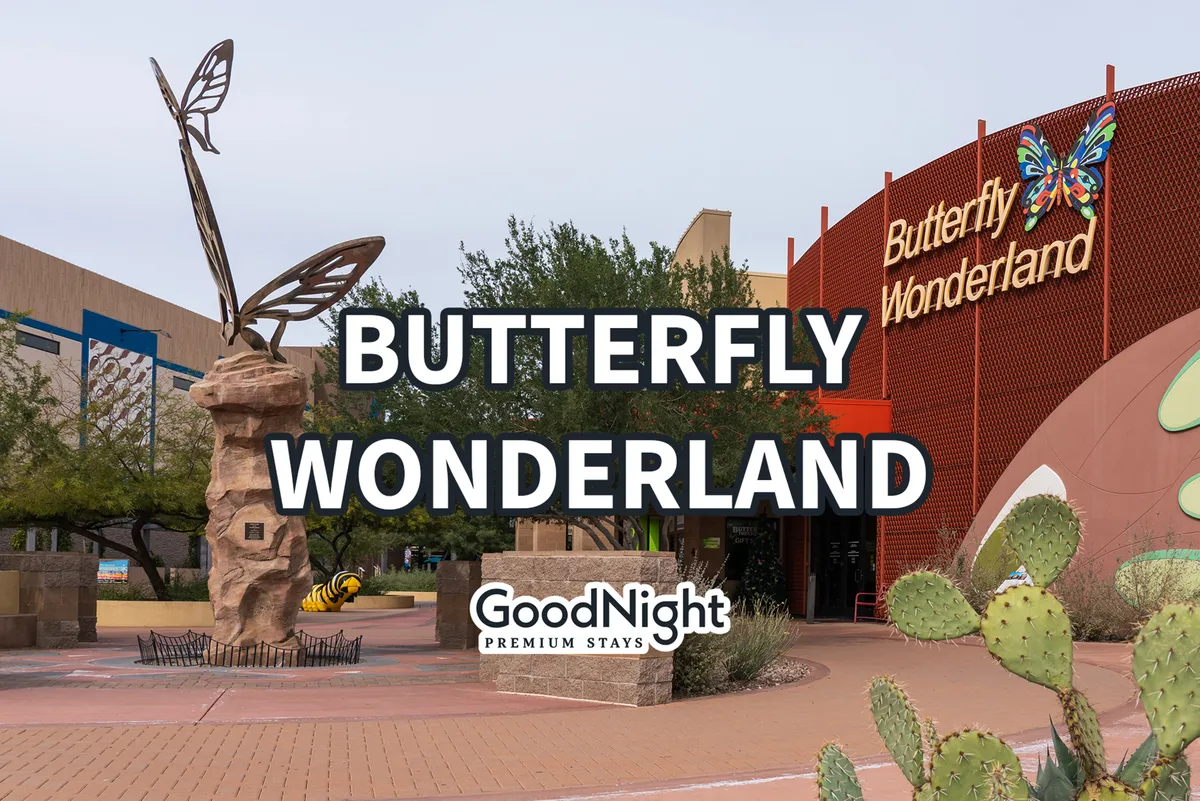 An exterior view of the Butterfly Wonderland entrance, featuring a playful butterfly sculpture, vibrant cacti, and manicured landscaping. The sign is prominent, welcoming families to an educational and interactive attraction.